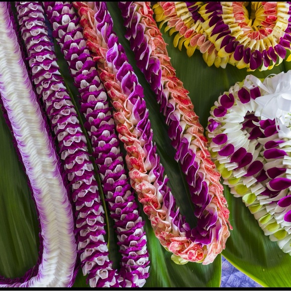 808. 🌺UNLISTED POSH LIVE SHOW🌺 - Picture 7 of 14